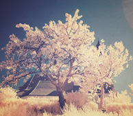 短信测压在线平台